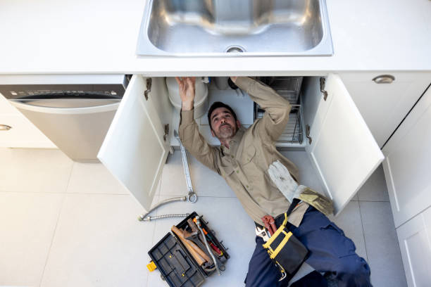Best Sprinkler Systems  in Assumption, IL