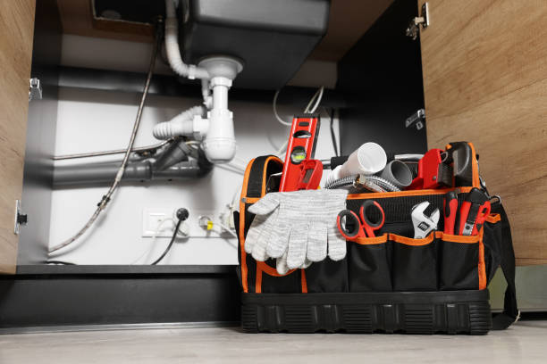 Best Plumbing Inspection Services  in Assumption, IL